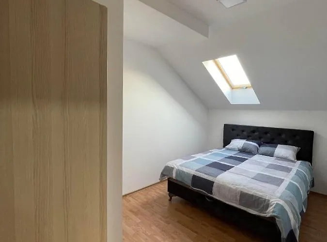 Despot * 姆拉代诺瓦茨