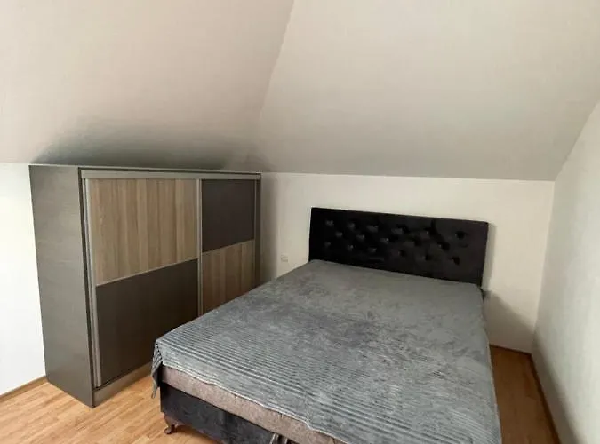 Despot * 姆拉代诺瓦茨